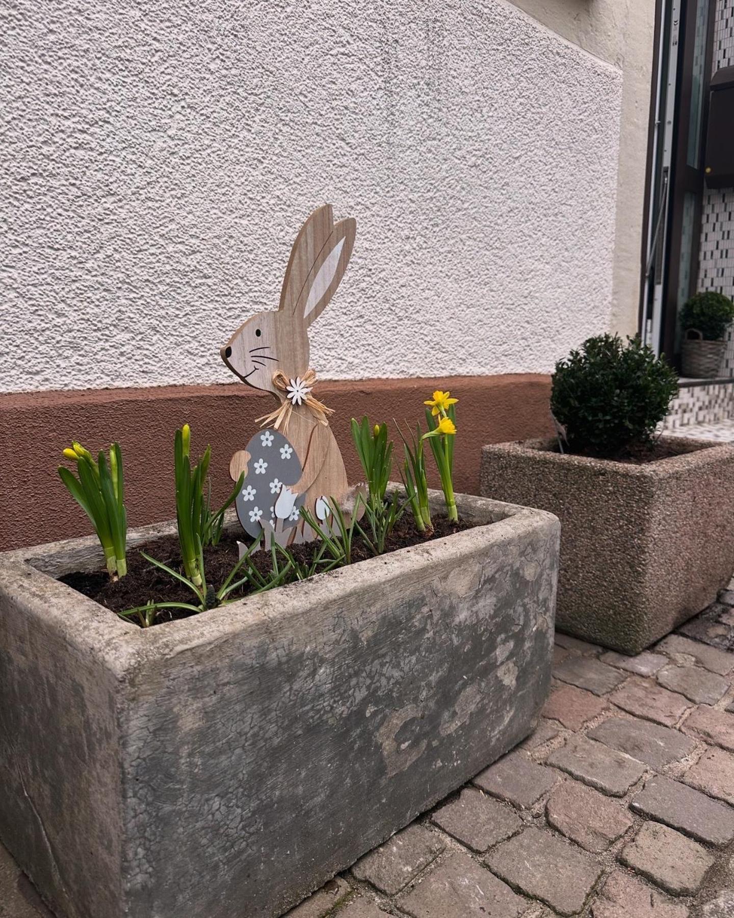 Ferienwohnung Am Berg Bad Bergzabern Luaran gambar